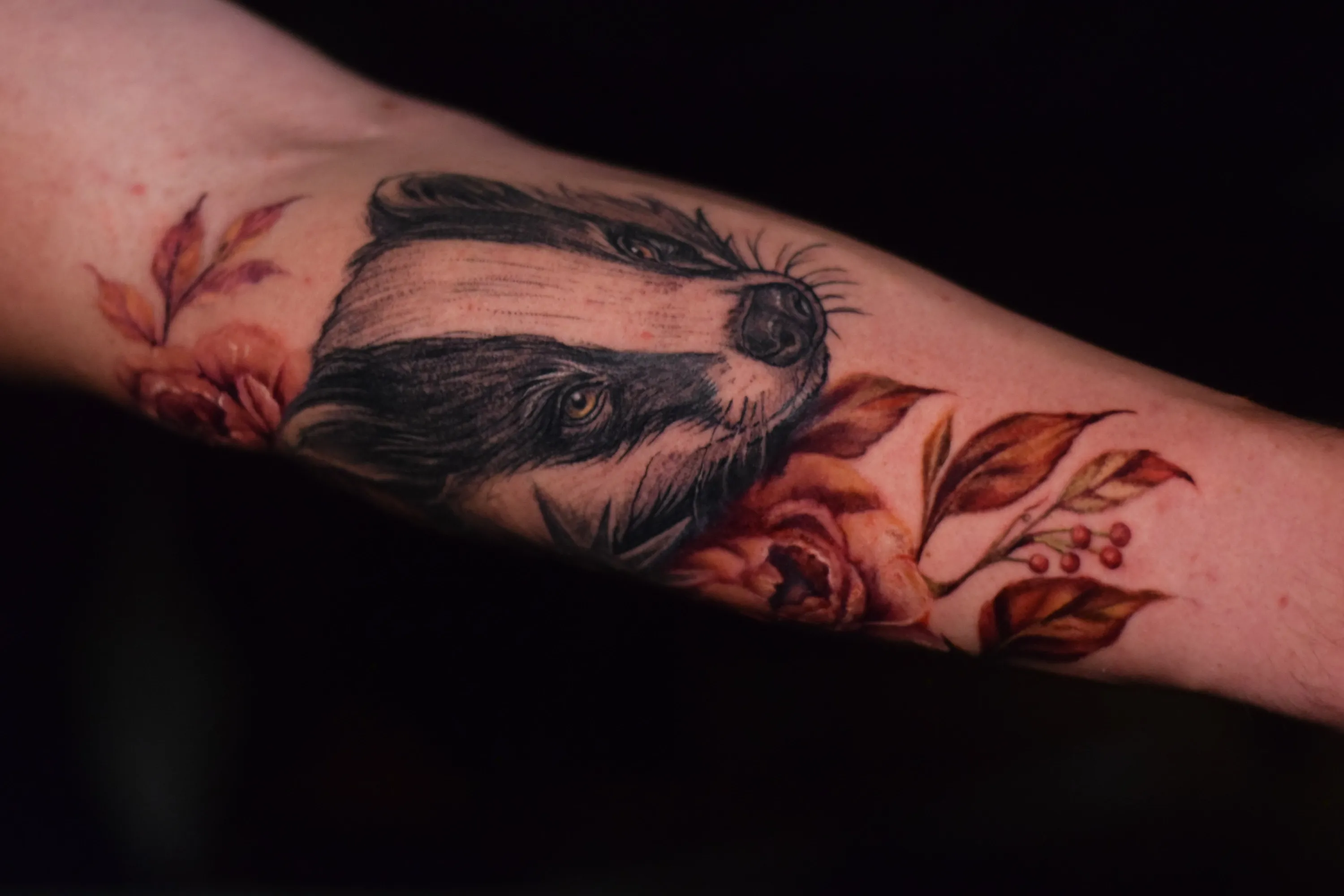 Farbrealistisches Dachs-Tattoo mit herbstlichen Blättern am Unterarm